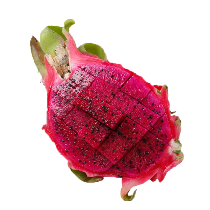 僵尸时代2