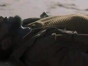 尊龙app入口V9.5专业版