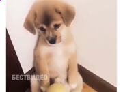 王汉宗中仿宋简