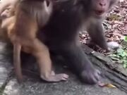 太阳集团1088vip注册V4.8专业版