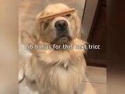 188体育登录安卓版二维码