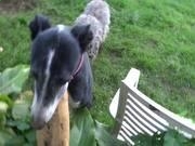 超凡国际官网最新版武器制作台界面