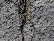 河南汽车维修平台APP