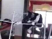 kaiyun体育下载方式V3.8专业版