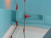 mg娱乐appV7.1专业版