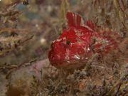 开云app官方版最新下载