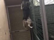 小熊洗车APP