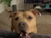 把Excel的Xls文档转换为htm(Xls2htm)