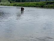 acdsee 3.1简体中文版