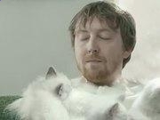 王汉宗特明体—标准