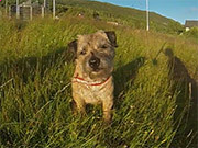 kaiyun开云手机登录版本更新新武器展示