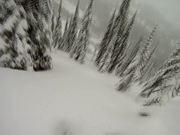 196娱乐平台官网安卓版二维码