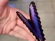 开运官方登录入口2025版多人对战激烈场景