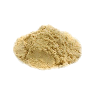 海龟出行turtle trip(海外包车)