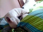 博乐美娱乐V3.8专业版