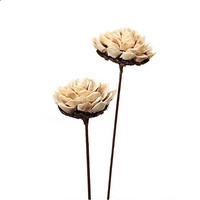 dvd播放器解码器