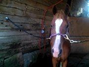 RegOwnershipEx(注册表所有权工具)