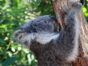 迷你简太极字体