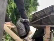 星际棋牌APPV5.7专业版