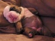 云游娱乐棋牌官网入口