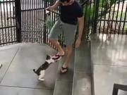 金沙检测线路js69app安卓版二维码