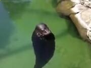 apk batch installer tool安卓软件备份PC端