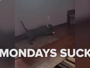 低空飞行(Overground)