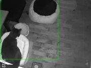 河南汽车维修平台APP