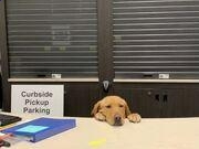 6686体育appV3.3专业版