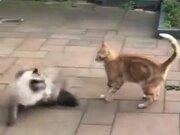 真钱appV9.6专业版