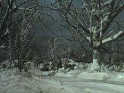 918搏天堂appV2.3专业版