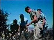 UEDBET体育app安卓版二维码