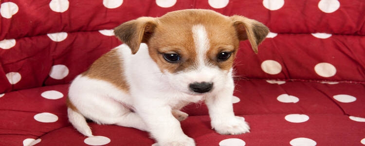 kaiyun.cn官网入口安卓版二维码