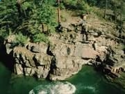 开云官方地址2025版全新星裔种族展示