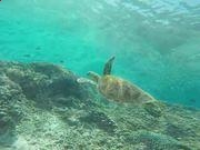 澳门appV6.1专业版