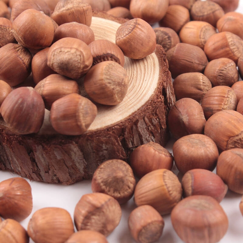 kaiyun体育app网页版登录是否需要注册V3.7专业版