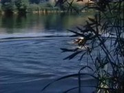 lenovo联想m7205打印机驱动