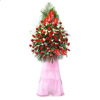 鼎盛国际app安卓版二维码