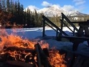 新葡萄京appV6.7专业版