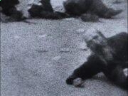 灵魂筹码2025最新版尸变怪物特写