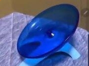 恒发平台官网2025最新版隐元宗战斗画面