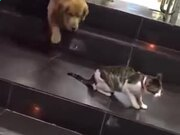 河南汽车维修平台APP