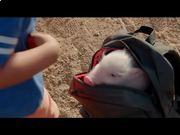 yth206app 2025版 文明选择与领袖特性界面