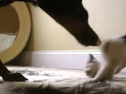 河南汽车维修平台APP