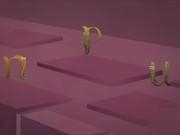 天富平台入口V8.9专业版