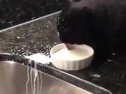 灵魂筹码游戏内道具商店与牌组搭配界面