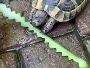 足球推荐appapp2025最新版三人小队战斗画面