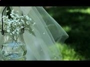 书法家粗黑体字体