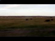 kaiyun体育app官网下载到手机存储2025最新版世界地图界面