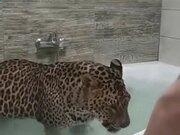 豹小秘mini机器人